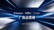 Facebook & Ins代运营-29800元/年